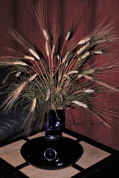 Ancient whole grain, ancient wheat, Emmer wheat, floral, botanical, floral arrangement, wheat arrangement, Sandy Dusek